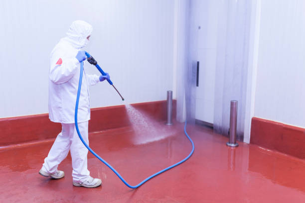 Best Building Exterior Washing  in Summit View, WA